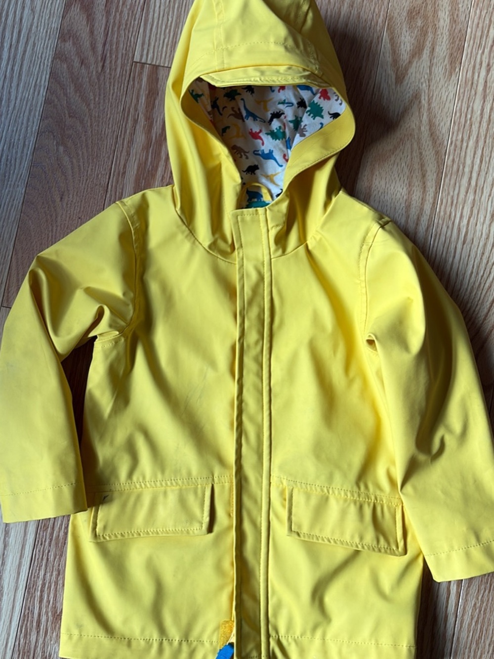 Kids' Raincoat with Dino Lining
